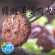 【信風】－B61精緻漢堡肉丸／超商799免運／冷凍宅配／肉排／餡料／早餐／真空包裝／料理包／調理包／加熱即食／冷凍食品