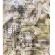 【信風】－G5白花菜／超商799免運／冷凍宅配／冷凍蔬菜／餐廳／小家庭／真空包裝／料理包／調理包／加熱即食／冷凍食品