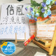 【信風】－A39日式炭燒牛肉(燴)／超商799免運／冷凍宅配／中式料理／餐廳／真空裝／料理包／調理包／加熱即食／冷凍食品