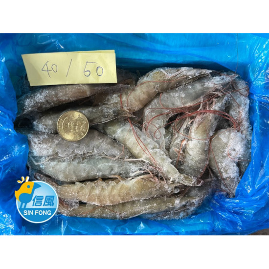 【信風】－G21白蝦／超商799免運／冷凍宅配／海鮮／蝦子／烤肉／小家庭／真空裝／料理包調理包／加熱即食／冷凍食品