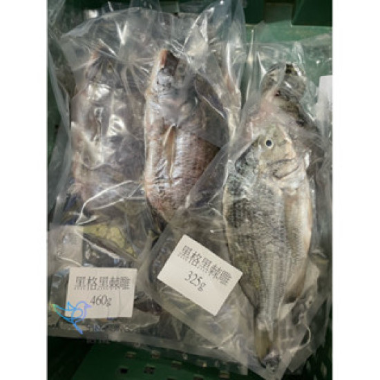 【信風】－G60黑格黑棘鯛／超商799免運／冷凍宅配／魚肉／黑格／小家庭／真空裝／料理包調理包／加熱即食／冷凍食品